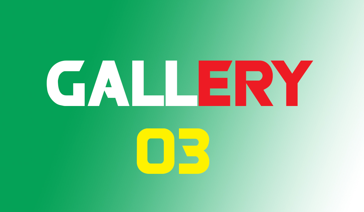 gallery03